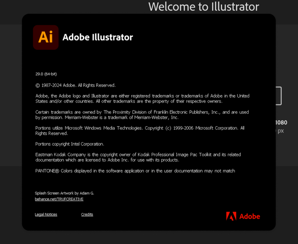 Adobe Illustrator 2025